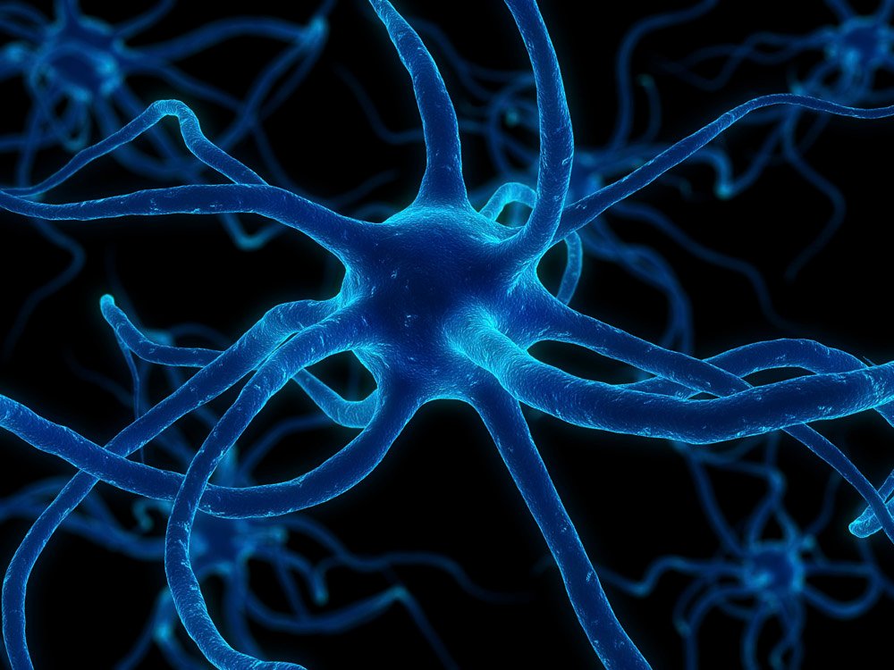 Terapia Celular Neuronales